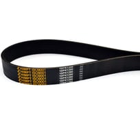 Поликлиновой ремень HIMPT 10PK-1290 00-00007067