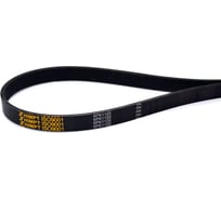 Поликлиновой ремень HIMPT 6РК-1125 00-00001297