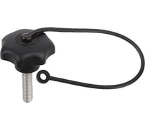 Звездообразная рукоятка KIPP K0154.706X20