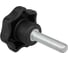 Звездообразная рукоятка KIPP K0155.4102X25 3