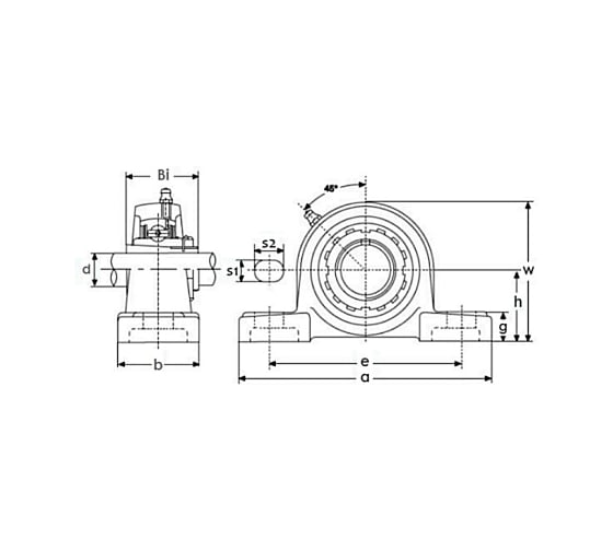 Подшипниковый узел TECHNIX UKP213