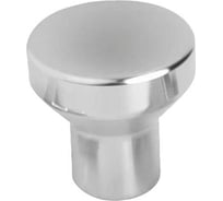 Ручка "Грибок" KIPP K0250.206