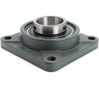 Подшипниковый узел FKD UCF 213