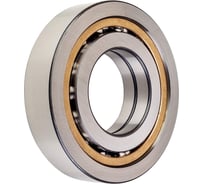 Подшипник INA CSXF110-HLE