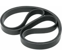 Ремень поликлиновый CONTITECH PK 800 4 ручьев 4PK800