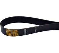 Поликлиновой ремень HIMPT 10PK-1768 00-00011135