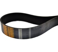 Поликлиновой ремень HIMPT 12PK-1013 00-00017699