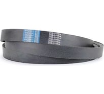 Многоручьевой ремень Rusbelt 2НВ-3110 La premium 00-00022727