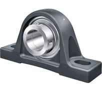 Подшипниковый узел INA RASE75-XL