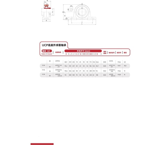Подшипниковый узел FXM UCP216 SW-10010224