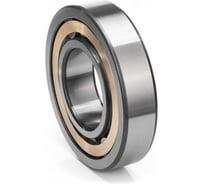 Универсальный подшипник ESQ NU319 ECM/C3 21.02.000049