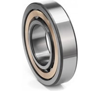 Универсальный подшипник ESQ NU317 ECM/C3 21.02.000030