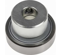 Подшипник RAE25-XL-NPP-B-FA106 INA