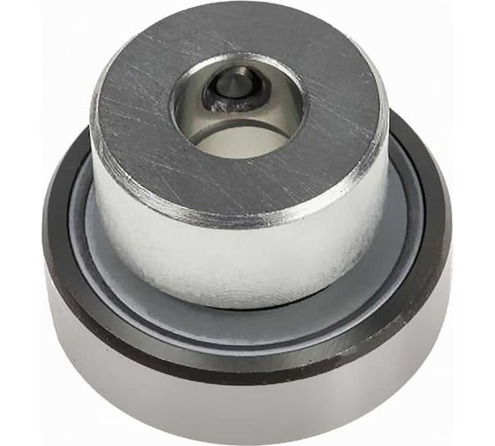 Подшипник RAE25-XL-NPP-B-FA106 INA