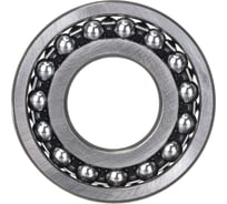 Подшипник ZNL 1308