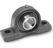 Подшипник BBC-R UCP206 (480206) PLAST, 4687205078261