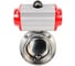 Затвор дисковый DN.ru 304-304-Sil-2W-T-H Ду25 Ру10 пищ.нержавеющая сталь 304, пневмопривод D050-76508 1
