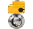 Затвор дисковый 304-304-EPDM-2W-W-H Ду25 Ру10 пищ.нерж.сталь,эл.привод 220В (0-10В) DN.ru D050-73394 1