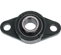 Подшипниковый узел UCFL 205 HGF Т18_10557