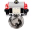 Затвор clamp 304-304-Sil-2W-C-H Ду100 Ру10 пищ.нерж.сталь, пн.привод, пн.распр. DN.ru D050-76955 1