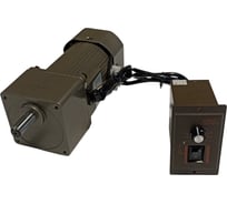 Мотор-редуктор HOULE 5IK60R 220В 60Вт 0-90 об/мин с регулятором вращения 1603003740547