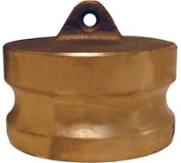 Камлок типа DР (заглушка для розетки; 25 мм-1"; латунь) TITAN LOCK TL100DPBR