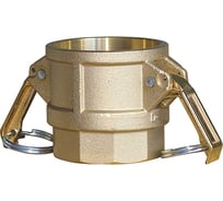 Камлок типа D (розетка; внутренняя резьба BSP; 100 мм-4"; латунь) TITAN LOCK TL400DBR