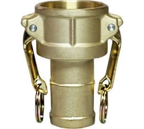 Камлок типа С (розетка с хвостовиком; 100 мм-4"; латунь) TITAN LOCK TL400CBR