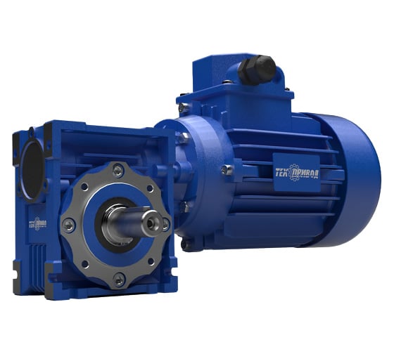 Мотор-редуктор NMRV-L040-25-56-0,25кВт-63B14 (TL MS)-B3 ООО "ТПК "ТЕХПРИВОД" N0000014 1