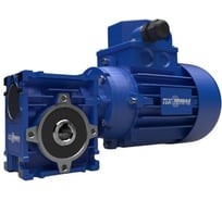 Мотор-редуктор NMRV-L030-10-140-0,18кВт-63B14 (TL MS)-B3 ООО "ТПК "ТЕХПРИВОД" N0000011