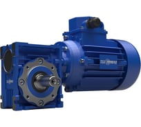 Мотор-редуктор NMRV-L040-50-28-0,18кВт-71B14 (TL MS)-B3 ООО "ТПК "ТЕХПРИВОД" N0000016