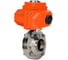 Затвор дисковый DN.ru 304-304-EPDM-2W- W-H Ду15 Ру10 под приварку, пищевая нерж. сталь, эл.привод QT2-003-24VDC D050-89374 1