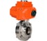 Затвор дисковый DN.ru 304-304-EPDM-2W- W-H Ду15 Ру10 под приварку, пищевая нерж. сталь, эл.привод QT2-003-220VAC D050-89383 2