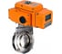 Затвор дисковый DN.ru 304-304-EPDM-2W-C-H Ду32 Ру10 кламповый, пищевая нерж. сталь, эл.привод QT-005-220В (4-20мА) HARK D050-89971 2