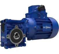 Мотор-редуктор ООО "ТПК "ТЕХПРИВОД" NMRV- L063-40-35-0,75кВт-80B14 (AB MS)-B3
