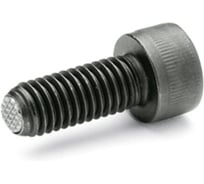 Винт с шариковым упором Elesa+Ganter GN 606-M6-25-A, 2 шт 4687207437257