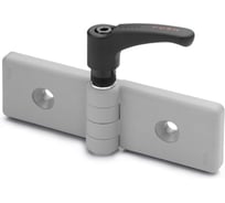 Петля Elesa+Ganter CFG.45/45-ERS-SH-6-C33 423936-C33