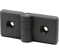 Петля Elesa+Ganter CFG.60/60 SH-6 423941