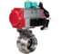 Затвор дисковый DN.ru 304-304-Sil-2W-T-H Ду15 Ру10 резьбовой, пищевая нержавеющая сталь 304, пневмопривод DA-052, пневмораспределитель 220VAC, магнитный переключатель МП D050-86425 1