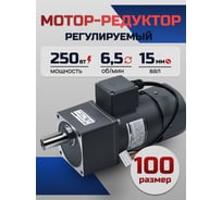 Регулируемый мотор-редуктор WANSHSIN 250 Вт 6.5 об/мин 220 В 100YT250WGV22H/100GF200H
