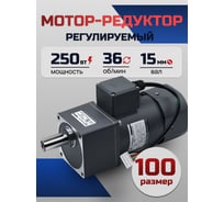 Регулируемый мотор-редуктор WANSHSIN 250 Вт 36 об/мин 220 В 100YT250WGV22H/100GF36H