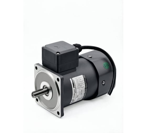 Регулируемый мотор-редуктор WANSHSIN 120 Вт 22 об/мин 220 В 90YT120WGV22H/90GF60H15