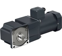 Мотор-редуктор WANSHSIN 120 Вт 13 об/мин 220 В 90YS120WGV22H/L90GF100RT