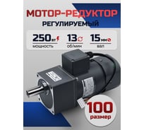 Регулируемый мотор-редуктор WANSHSIN 250 Вт 13 об/мин 220 В 100YT250WGV22H/100GF100H