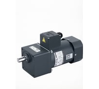 Мотор-редуктор WANSHSIN 120 Вт 6,5 об/мин 220 В 90YS120WGV22H/90GF200H15