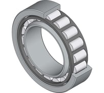 Подшипник NSK NU2310W 029176051098