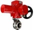 Затвор дисковый DN.ru 304-304-Sil-2W-C-H Ду100 Ру10 кламповый, пищевая нерж. сталь, эл.привод QT-W (M) EX-005 220В D050-89877 1