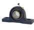 Подшипниковый узел INA RASEY65-214-XL 1