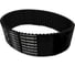 Ремень зубчатый CSHBELT 204 XL, L=518,16 мм, ширина 12 мм 12204XLCSH 1