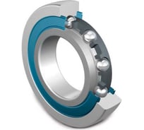 Подшипник INA LR200-2RSR 0578789190000